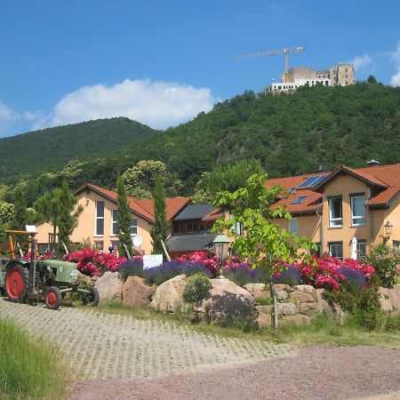 Weinhaus Paradies Bed & Breakfast Neustadt an der Weinstrasse Exterior photo