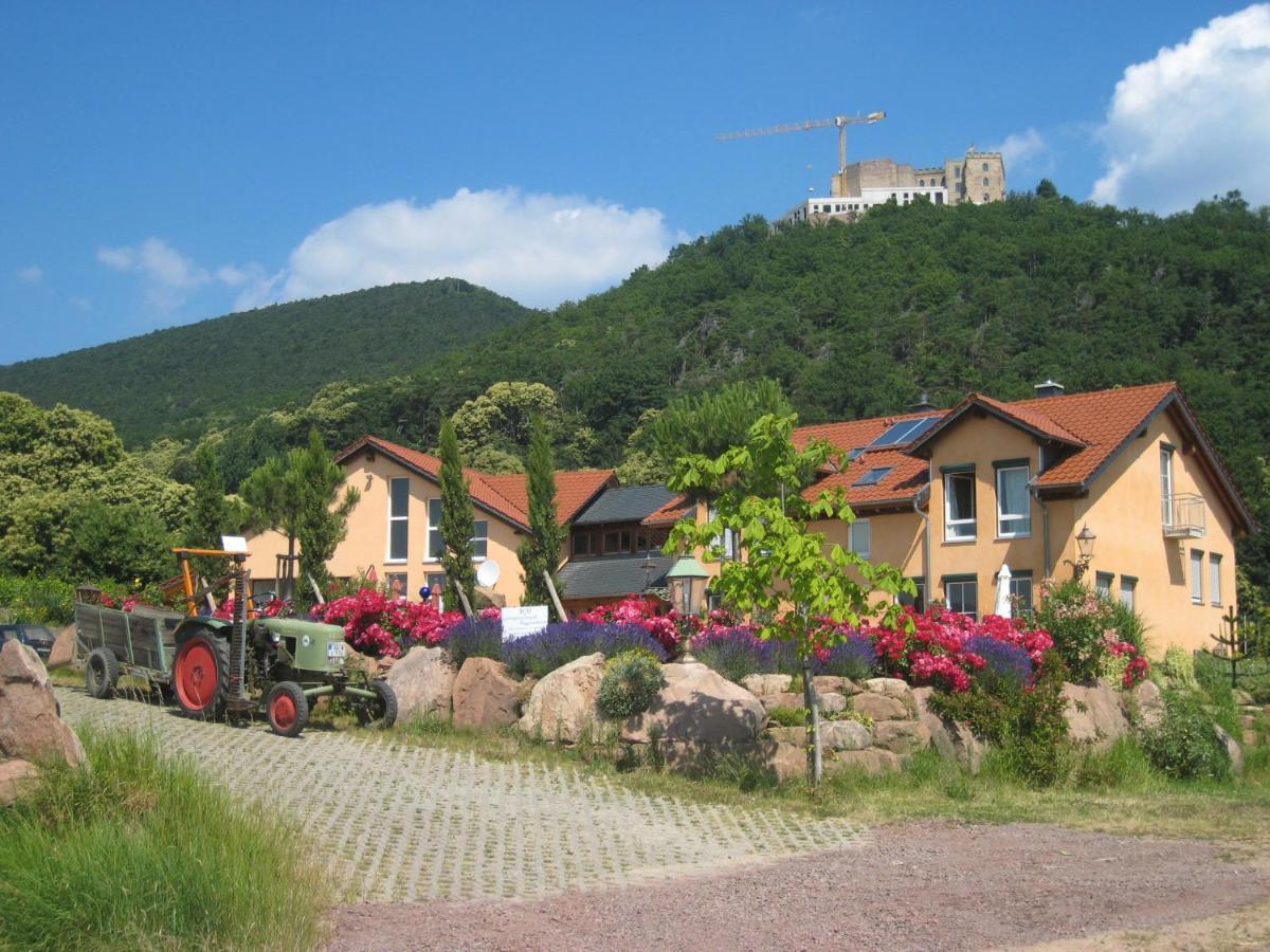 Weinhaus Paradies Bed & Breakfast Neustadt an der Weinstrasse Exterior photo