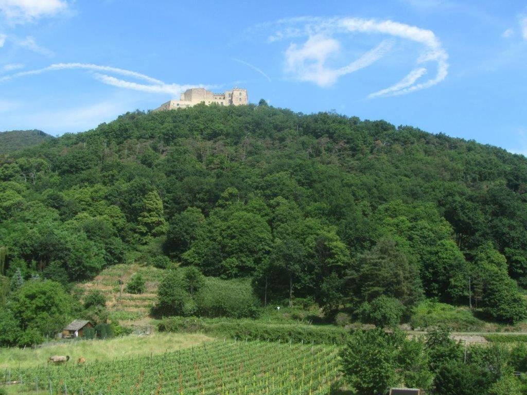 Weinhaus Paradies Bed & Breakfast Neustadt an der Weinstrasse Exterior photo