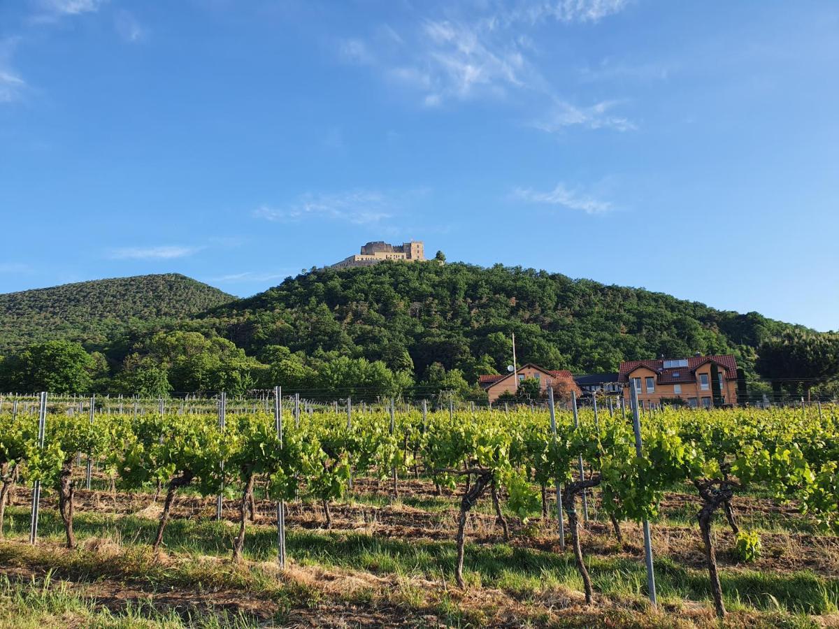 Weinhaus Paradies Bed & Breakfast Neustadt an der Weinstrasse Exterior photo